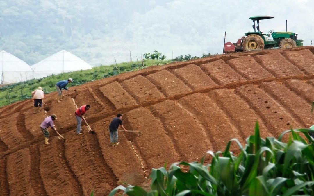 Estado Mayor Agroalimentario en Sucre unificará criterios de producción y distribución