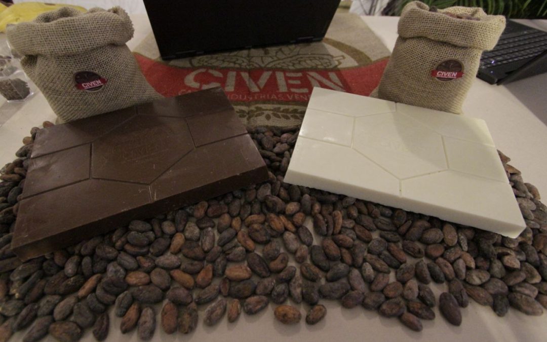 Miranda tiene capacidad para procesar 45 % de la producción cacaotera del país