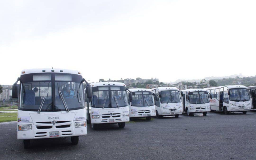 TransMiranda va rumbo a las 500 unidades