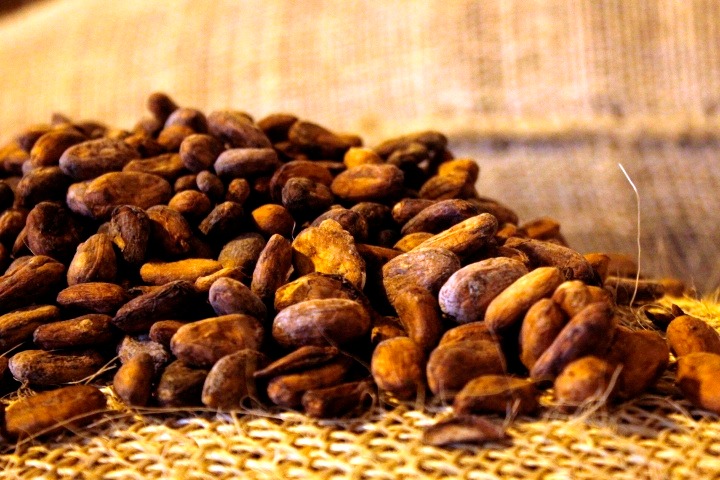 Recuperarán 400 kilómetros de vialidad agrícola para fortalecer producción de cacao en Miranda