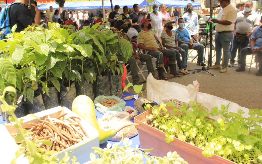 Estado Mayor Agroalimentario de Miranda atendió a más de 2.500 familias de Cartanal