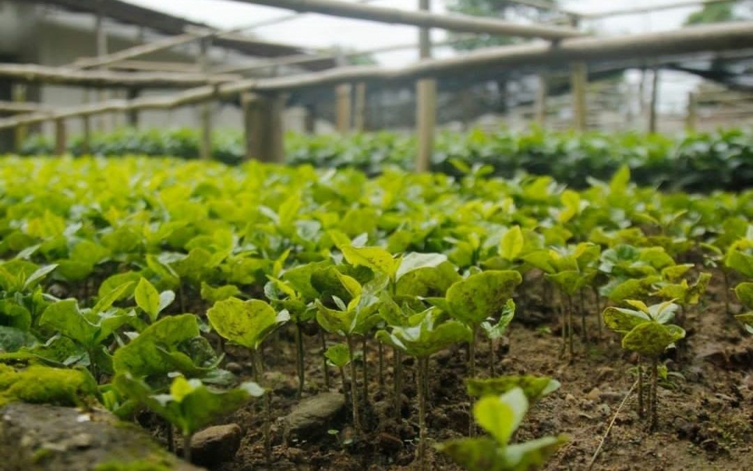 Familias de La Verdecita fueron atendidas por Estado Mayor Agroalimentario de Miranda