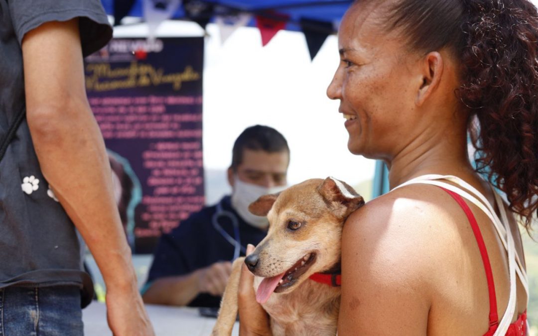 Instalan punto de atención veterinario gratuito en Los Teques