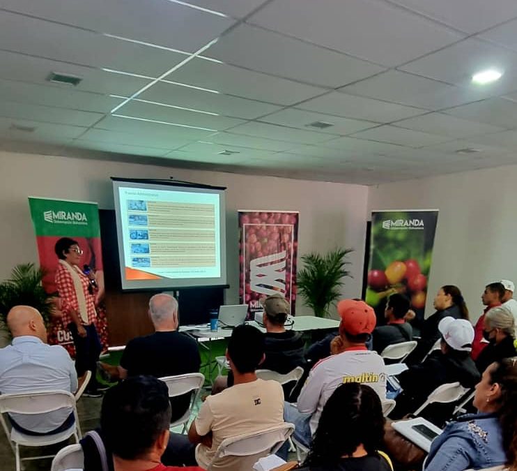 Diplomado Maestros Cafetaleros impulsa producción de 270 hectáreas de café en Miranda