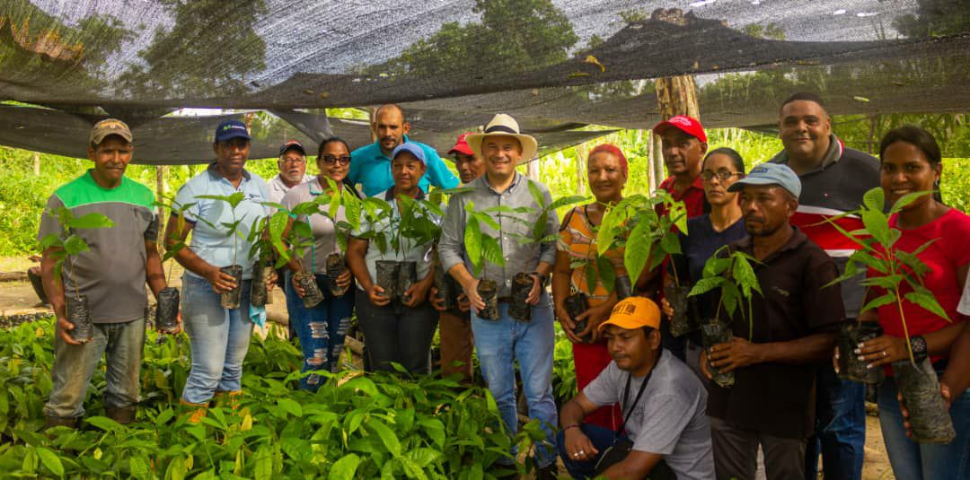 Activan primer vivero de cacao en Buroz