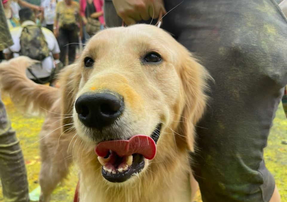 Jornadas veterinarias llegaron a comunidades La Llovizna y El Retén (+agenda)