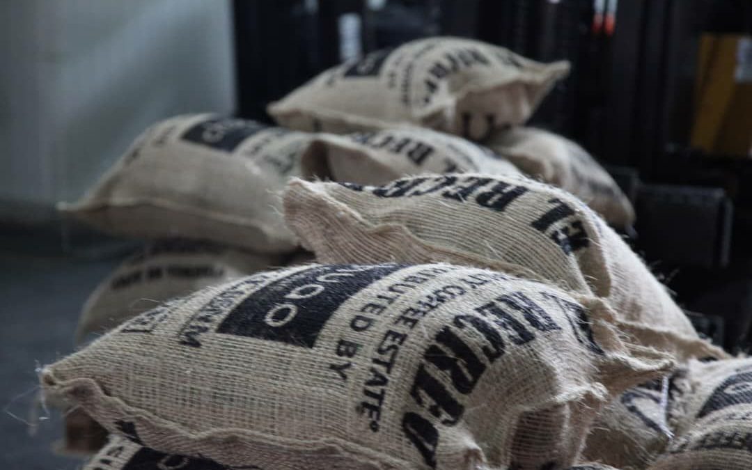 Exportan segundo lote de café a Japón tras expoferia mirandina del rubro