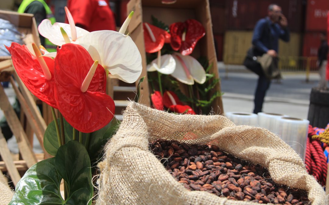 Expoferia Café, Flores y Miel Miranda 2022 impulsará diversificación  económica | Gobernación Bolivariana de Miranda