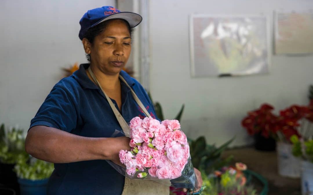 Más de 300 productores mostrarán su potencial en Expoferia Café, Flores y Miel Miranda 2022