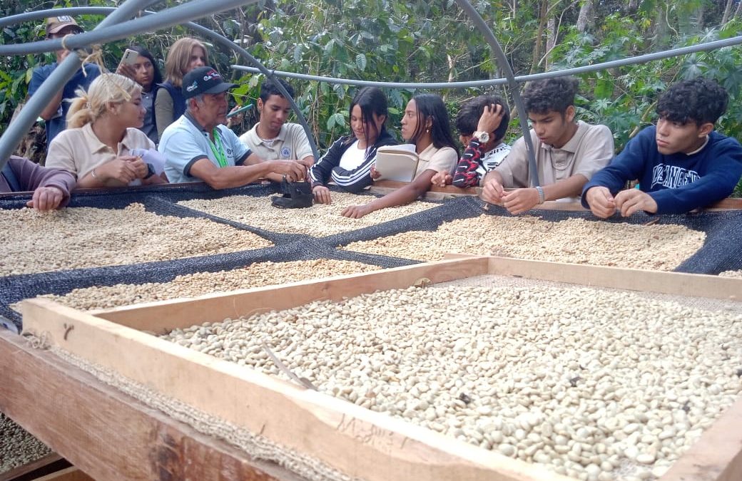 Estudiantes de Carrizal se incorporan a ciclo de formación cafetalera