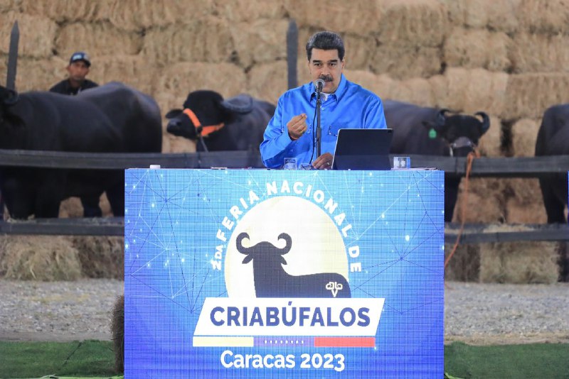 II Feria Nacional de Criabúfalos fue inaugurada en La Carlota