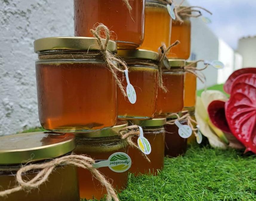 Ley de Emprendimiento de Miranda impulsará la productividad