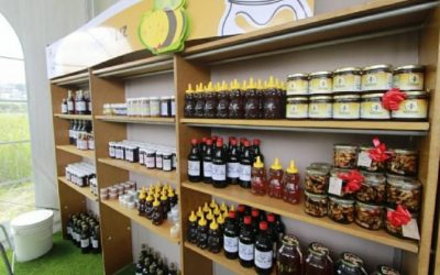 Guarenas estima aportar más de 5 mil firmas para ley de emprendimiento