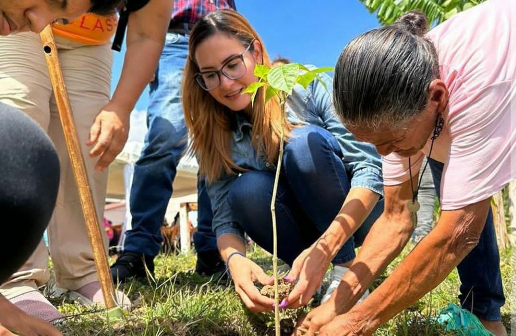 Abuelos participaron en siembra de árboles en Santa Teresa del Tuy