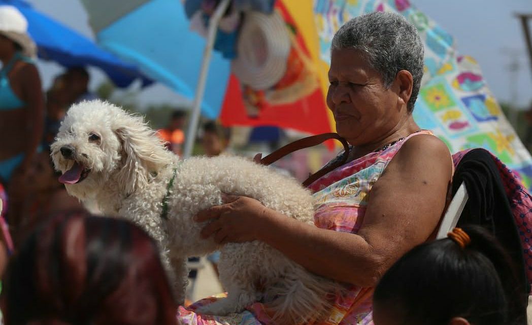 Más de 8.000 consultas veterinarias se han realizado en Miranda