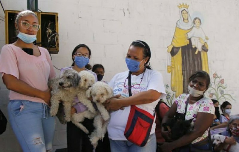 Conoce las jornadas veterinarias para este fin de semana en Miranda