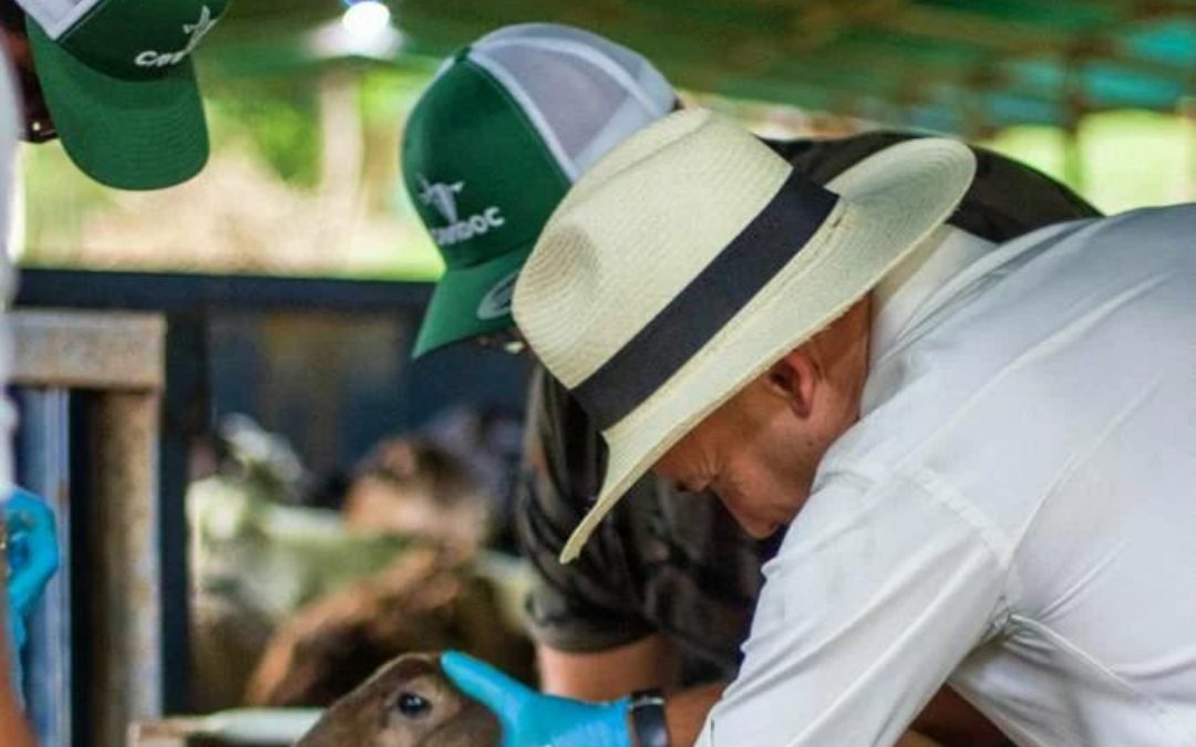 Más de 2.000 jornadas ha realizado censo agropecuario en Miranda