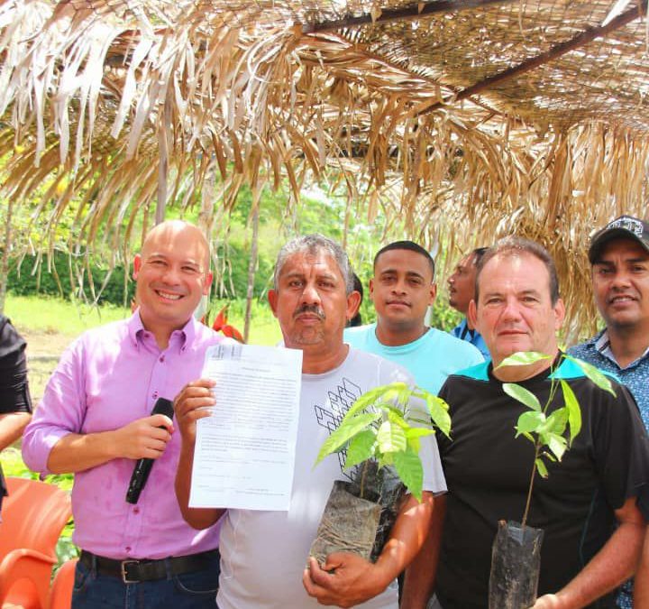 Más de 3.500 plántulas de cacao fueron entregadas a productores de Merecure