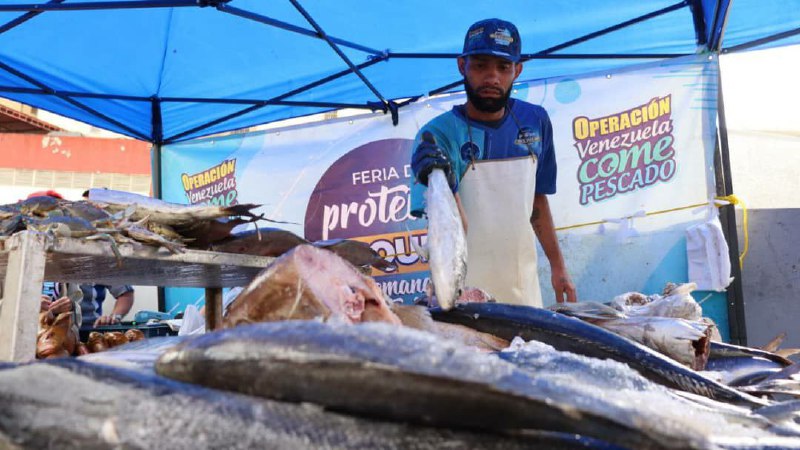 Más de 120 toneladas de pescado se distribuyeron en Miranda durante Semana Santa