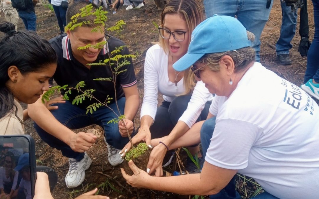 Estudiantes mirandinos realizaron reforestación en el Waraira Repano por el Día del Árbol