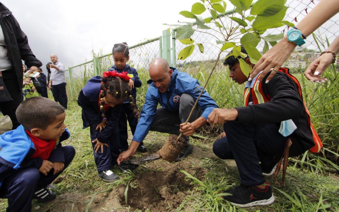 Inició siembra de un millón de árboles en Miranda