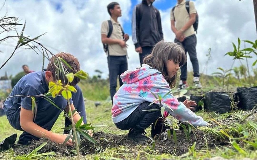 320 plantas y árboles siembran en Paz Castillo