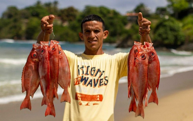 Más de 740 kilos de pescado fueron donados a instituciones de Mamporal
