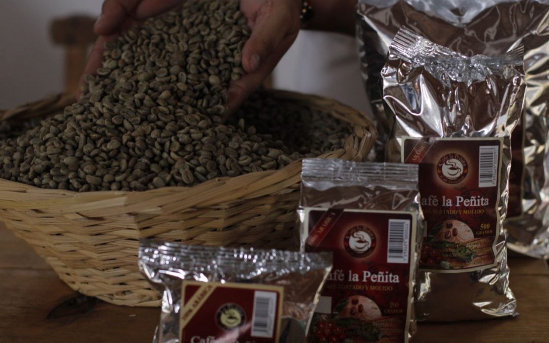 Diplomado Maestros Cafetaleros ayudará a proteger  la calidad del café mirandino