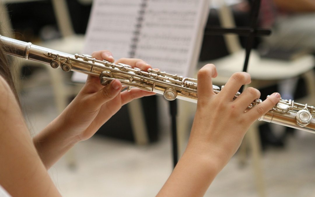 Carabobo, Caminos de Libertad llenó de música a Los Teques