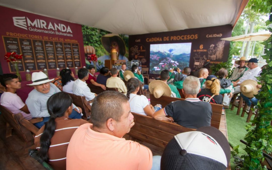 Documental Ruta del café mirandino fue estrenado en Eicev 2023