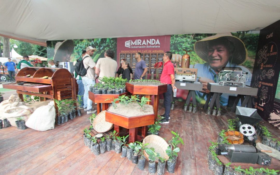 Inaugurado II Encuentro Internacional de Cafés de Especialidad Venezolano