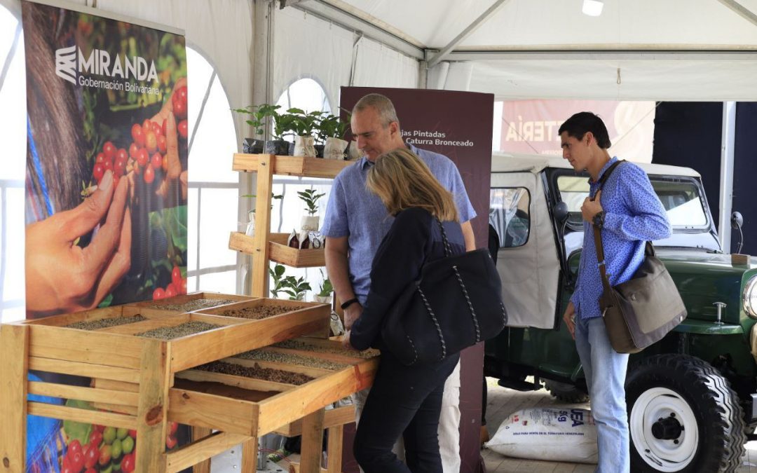 Café mirandino lleva su sabor al Eicev 2023