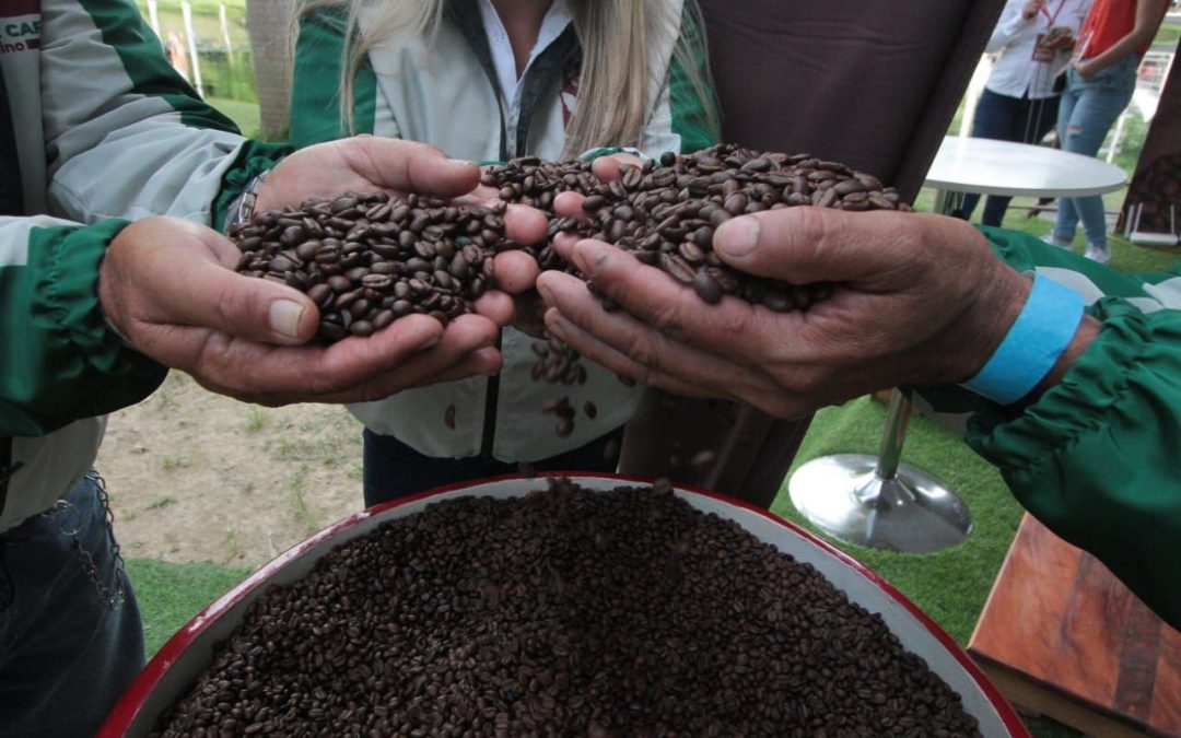 Miranda alberga laboratorio para la excelencia del café venezolano