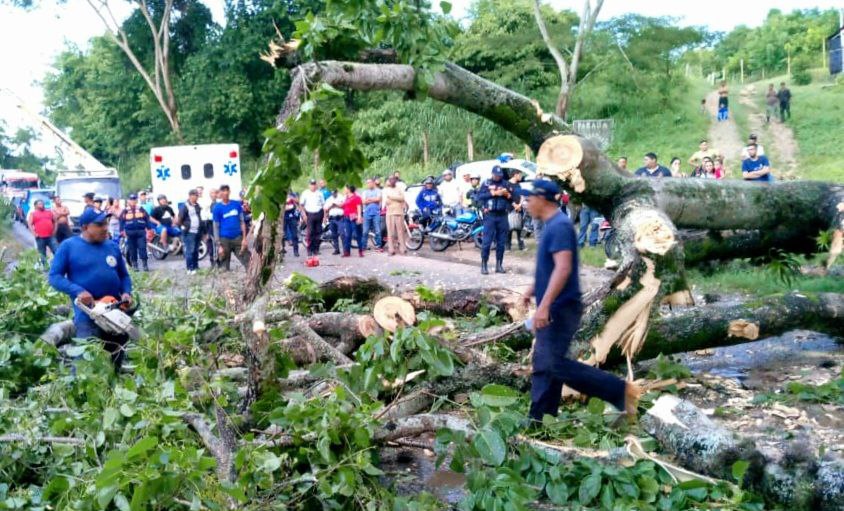 Atienden afectaciones por lluvias en Paz Castillo