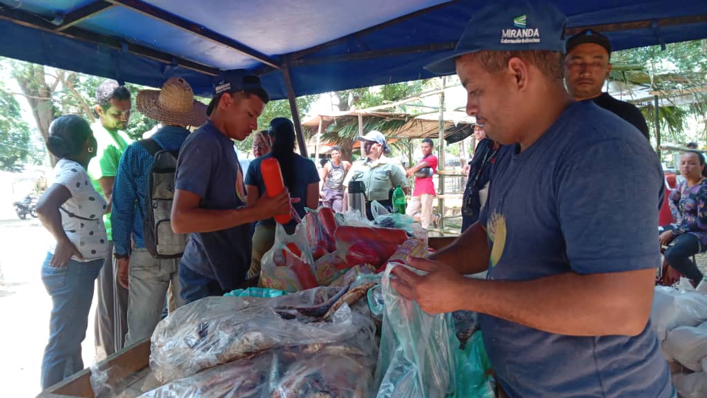 Realizan jornada de atención a productores en Feria de la Cachapa de Paz Castillo