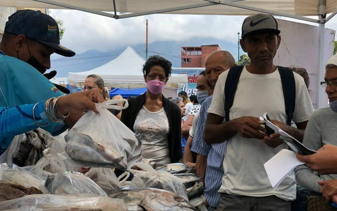 Miranda ha realizado 675 jornadas de distribución de pescado en 2023