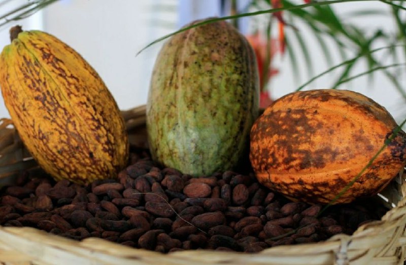 Con taller agroproductivo incentivan buenas prácticas para cultivar la tierra en Barlovento
