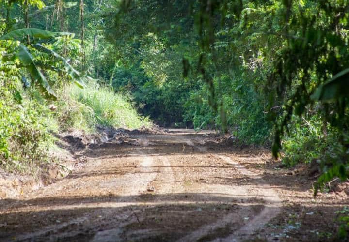 Renovación de vialidad agrícola en El Delirio-Piñango avanza en 95%