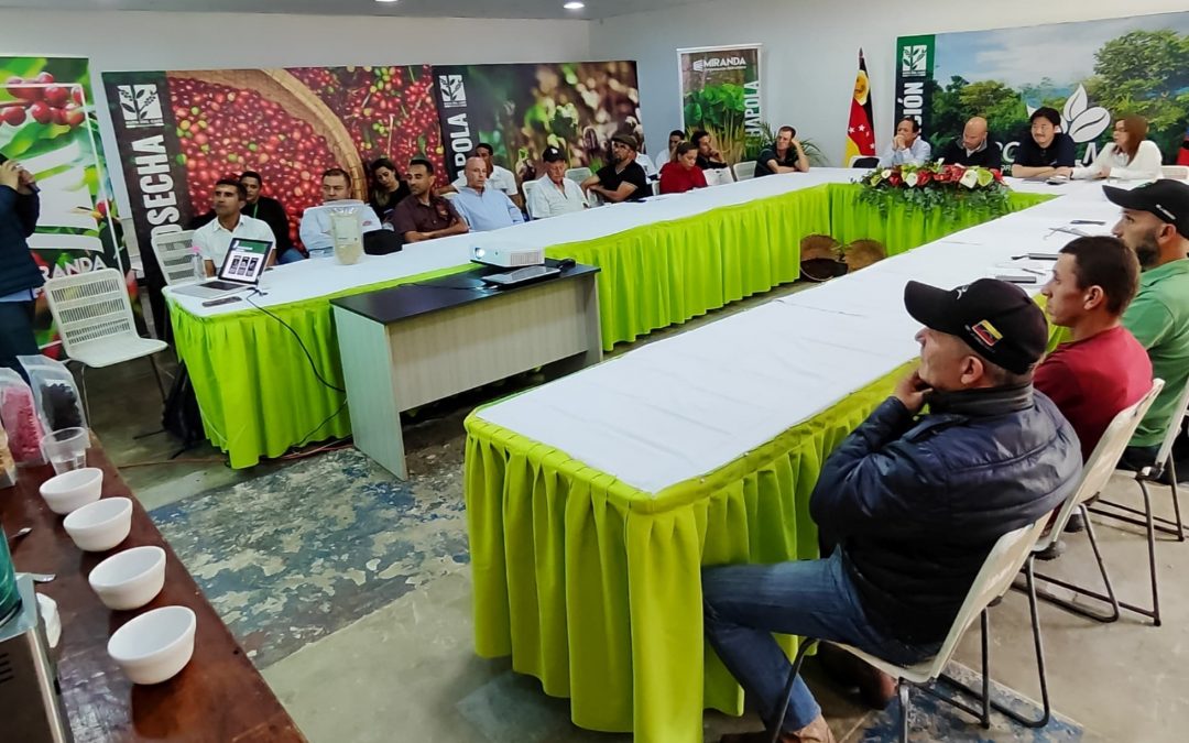 Más de 960 hectáreas de café han sido cultivadas en Miranda