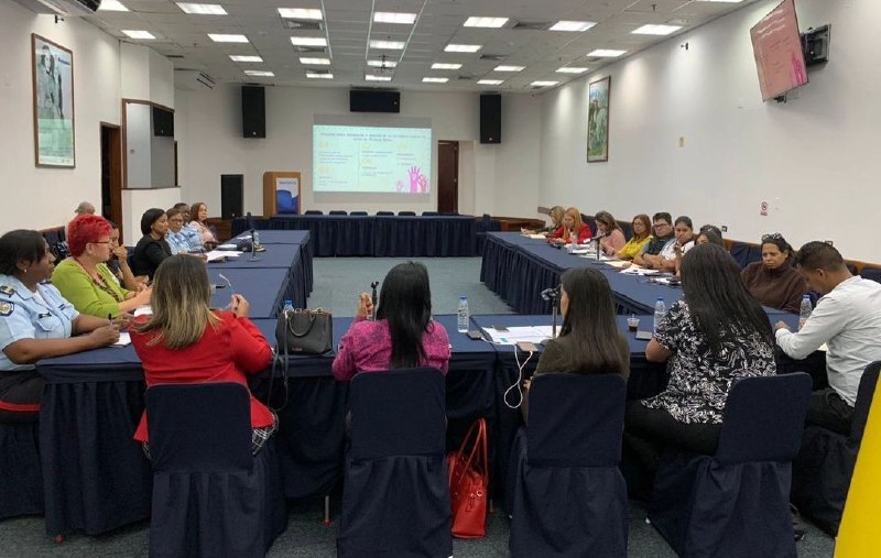 Miranda conformó más de 13.000 consejos de mujeres en 2023
