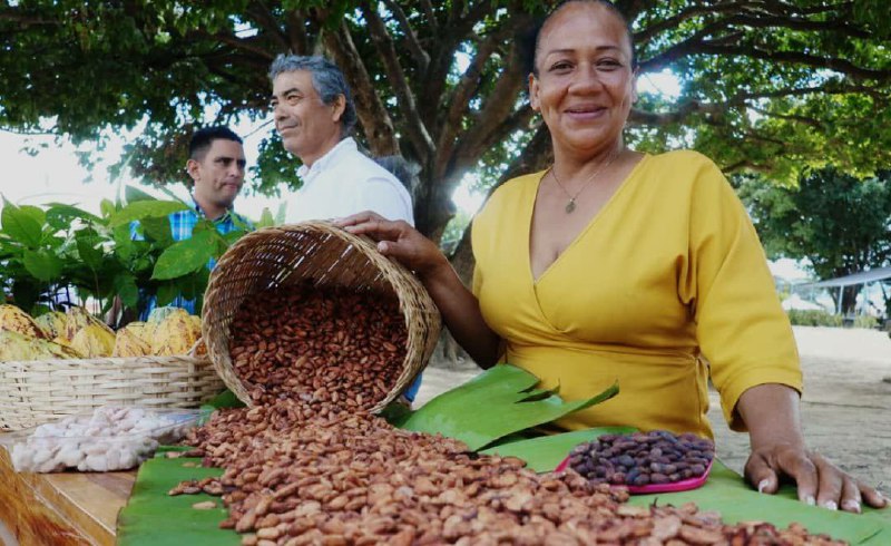 Miranda gradúa 56 productores en primera cohorte del  Diplomado de Cacao, Ciencia y Cultura