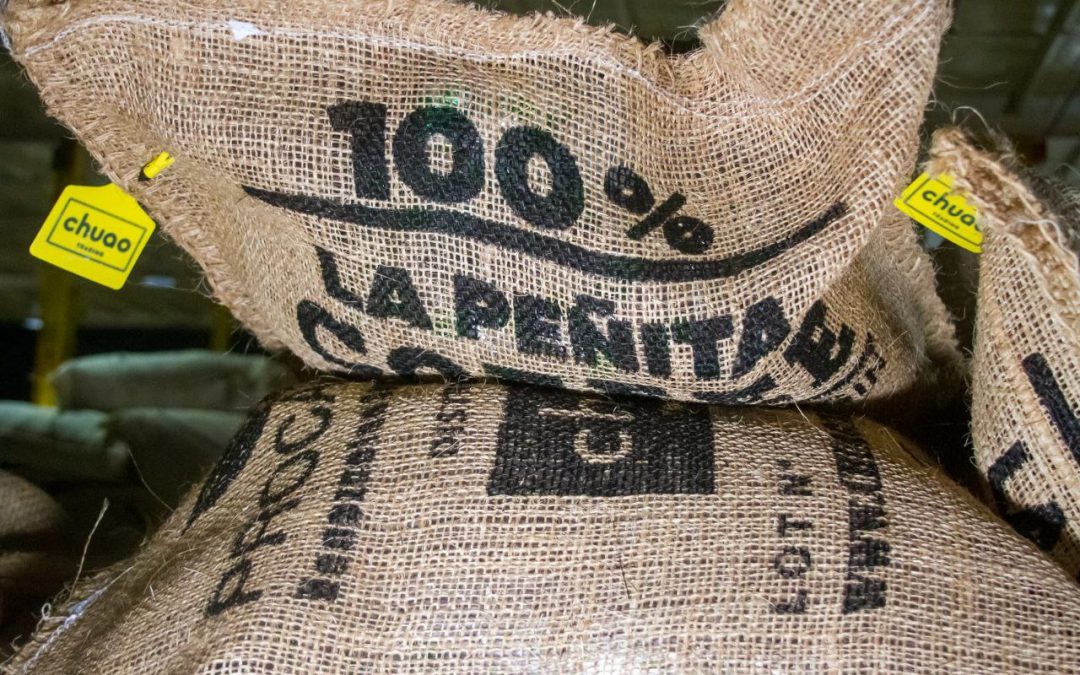 Rumbo a Japón más de 2,8 toneladas de café mirandino de especialidad