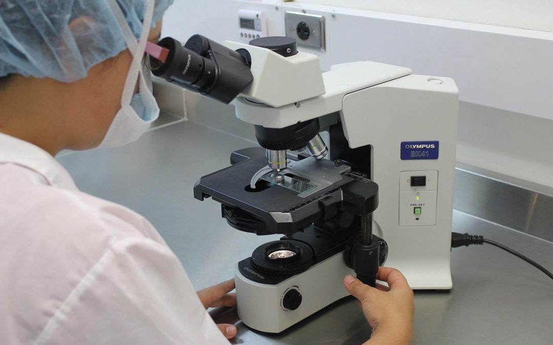 Miranda será sede del XX Congreso de Microscopía y Microanálisis
