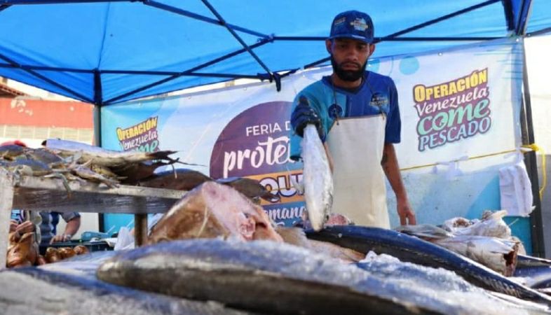 Operación Venezuela Come Pescado inicia este viernes en seis municipios de Miranda