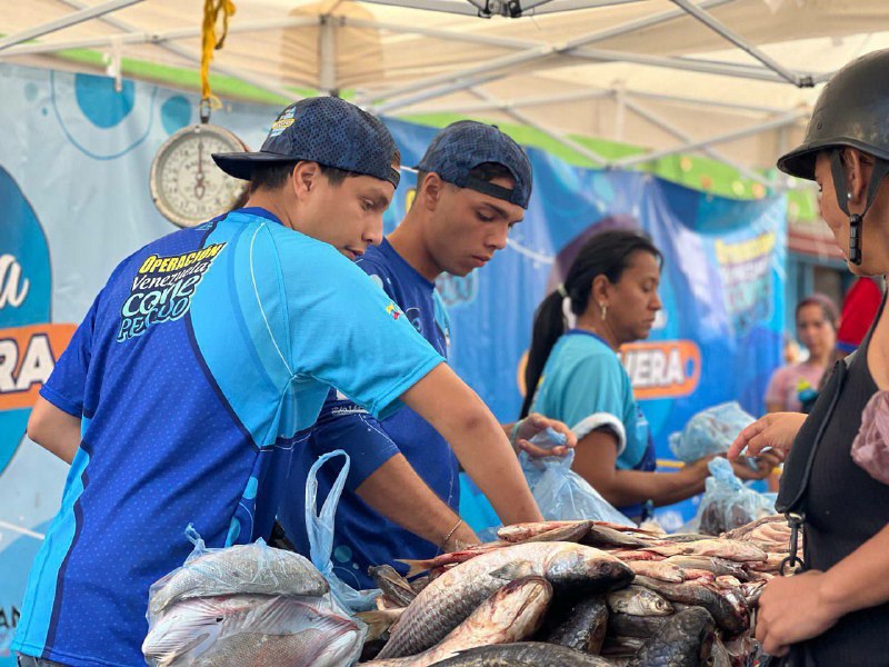 Operación Come Pescado atendió 1.608 familias en Miranda
