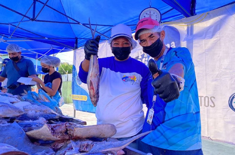 Distribuyen en Miranda 8.424 kilos de pescado