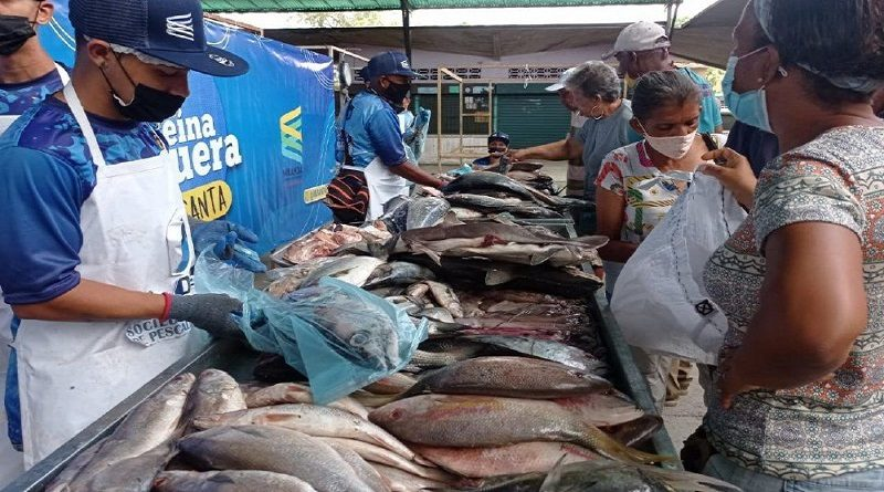 Conozca los espacios de distribución de la Feria del Cardumen en Miranda