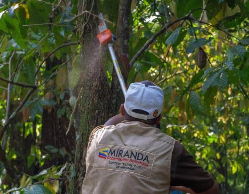 Fortalecen atención integral a productores agrícolas de Acevedo