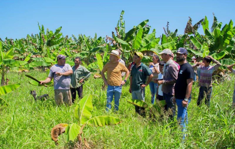 Atienden más de 19,5 kilómetros de vialidad agrícola en Andrés Bello