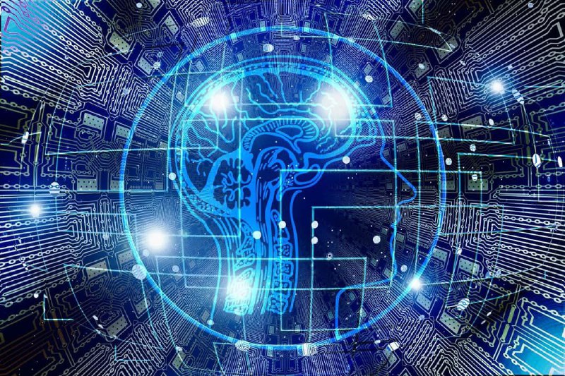 En escuelas de Ocumare aprenden sobre neurociencia